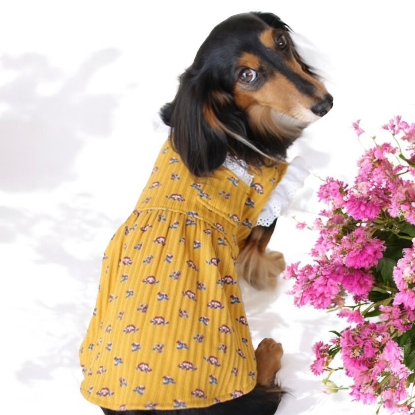 Frühlingskleid aus Rippstoff