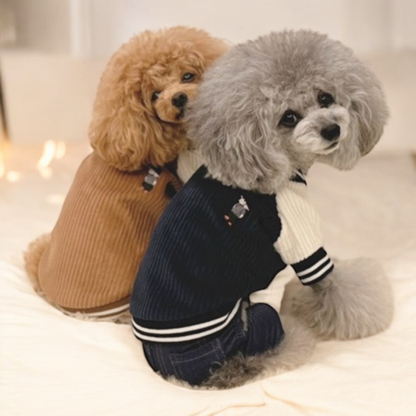 Corduroy-Collegejacke