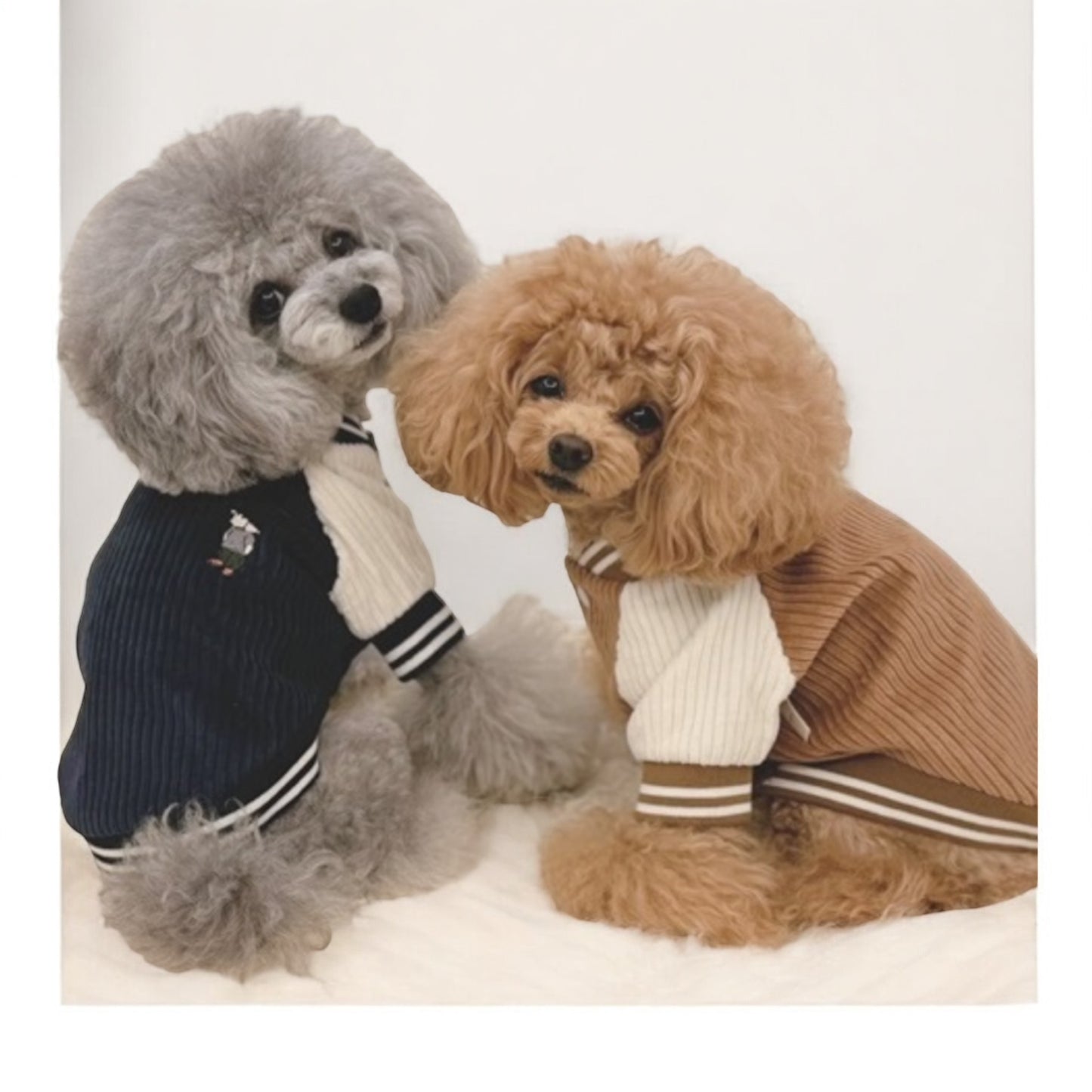 Corduroy-Collegejacke