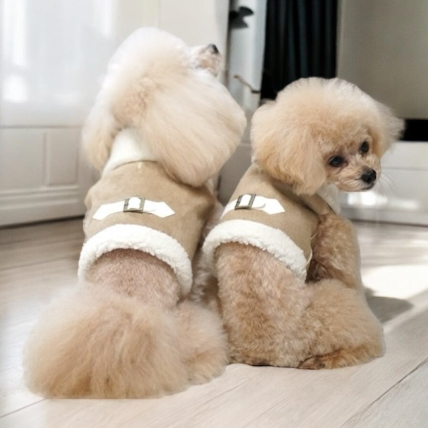 Veste courte en mouton
