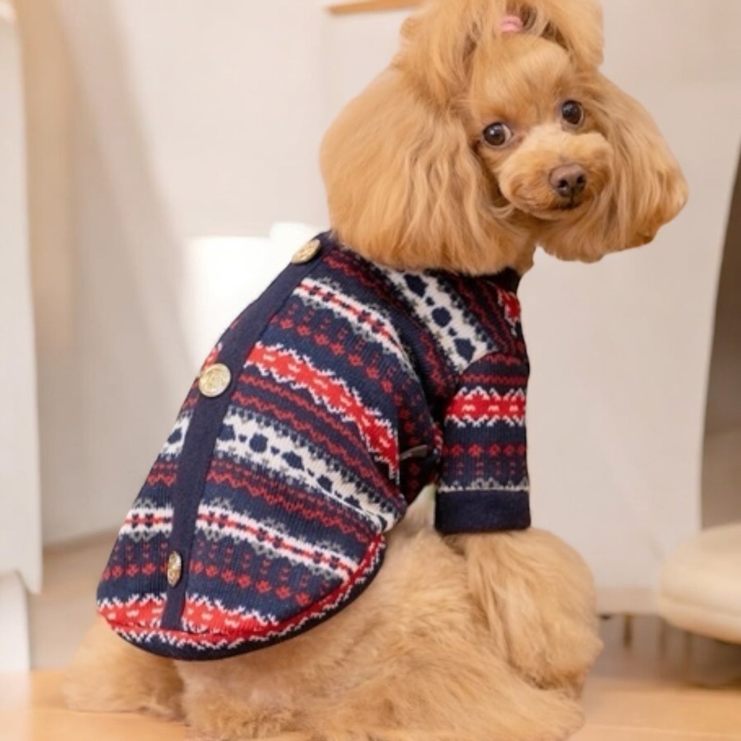 Strickpullover mit goldenen Knöpfen