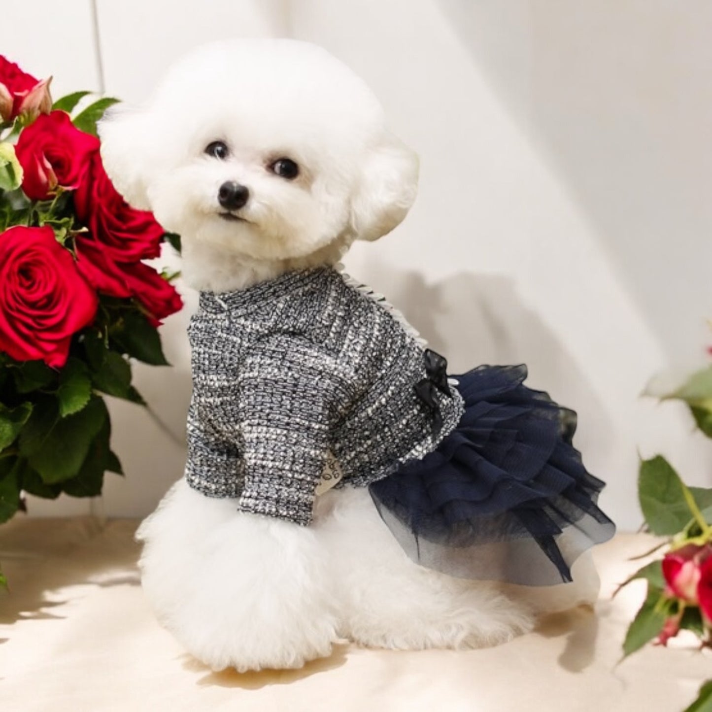 Elegantes Ausgehkleid