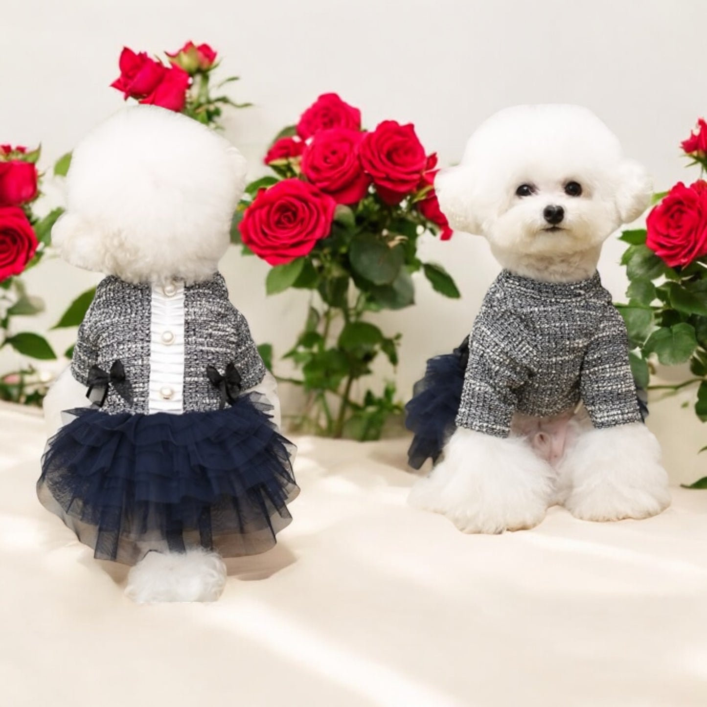 Elegantes Ausgehkleid