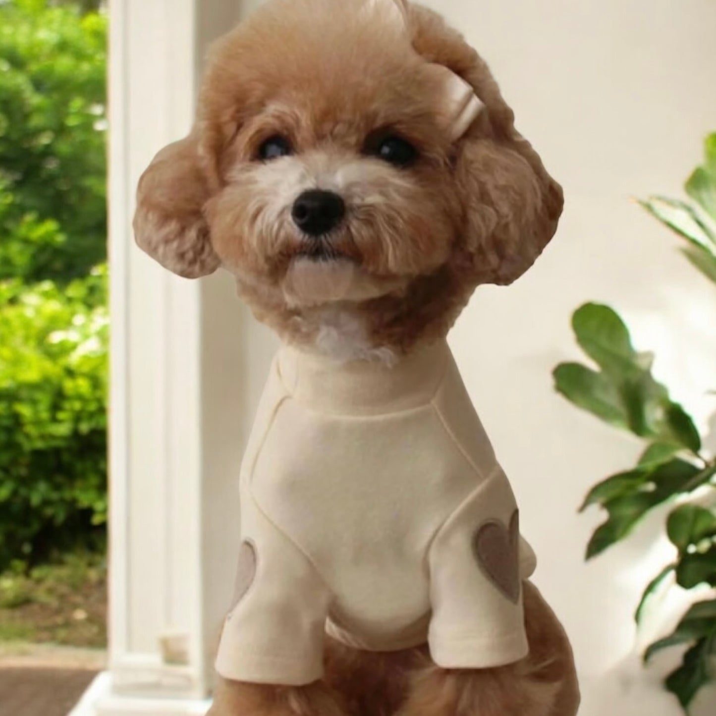 Herz & Herz Flauschiges Fleece-Kleid mit Ärmeln