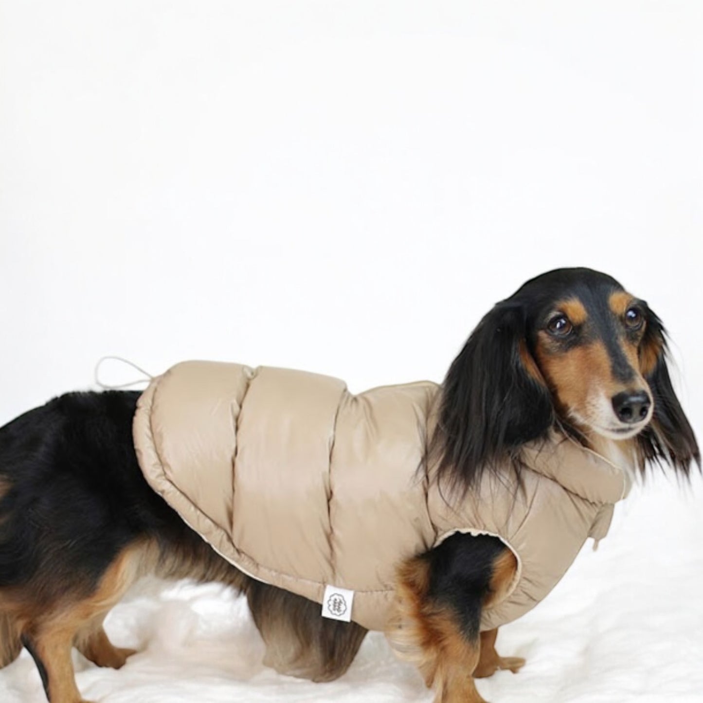 Zip-Wellon down vest
